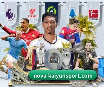 开云 APP - kaiyun sports