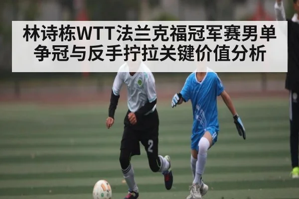 林诗栋WTT法兰克福冠军赛男单争冠与反手拧拉关键价值分析